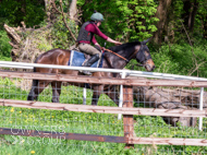 EL160424-17 - Zoran